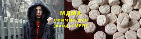 индика Елабуга