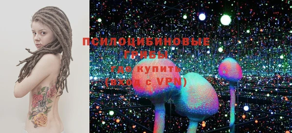 индика Елабуга