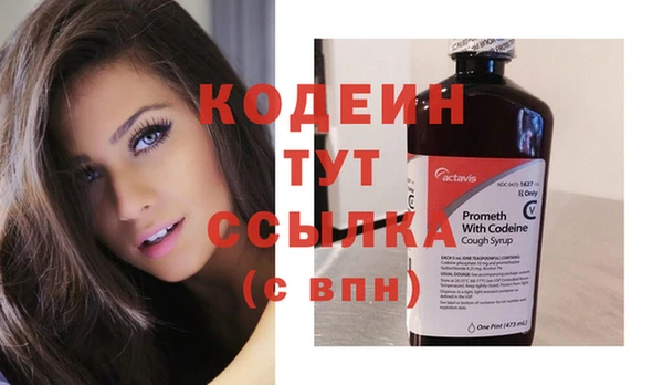 индика Елабуга