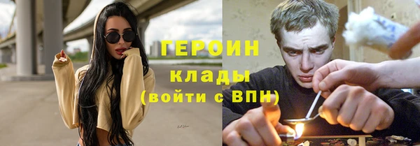 индика Елабуга