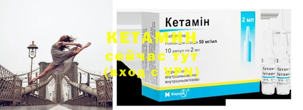 индика Елабуга