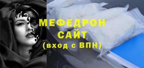 индика Елабуга