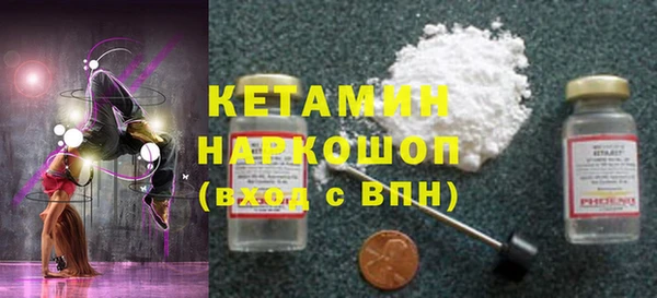 индика Елабуга