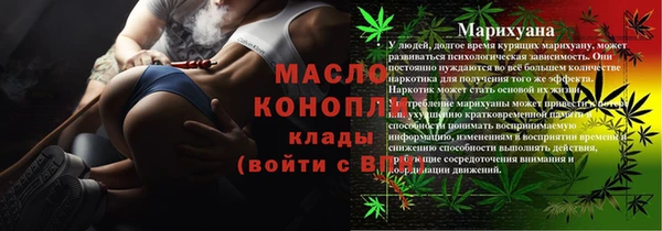 индика Елабуга
