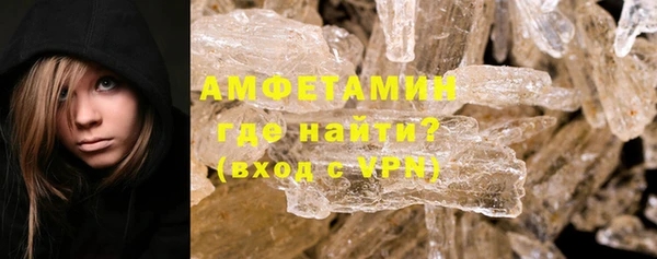 индика Елабуга