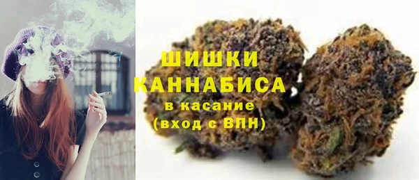 индика Елабуга