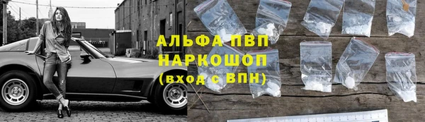индика Елабуга