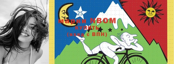 индика Елабуга