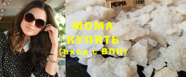 индика Елабуга