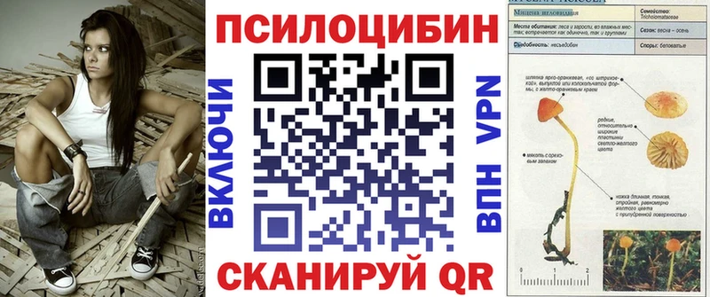 купить наркоту  Реж  Галлюциногенные грибы Psilocybine cubensis 