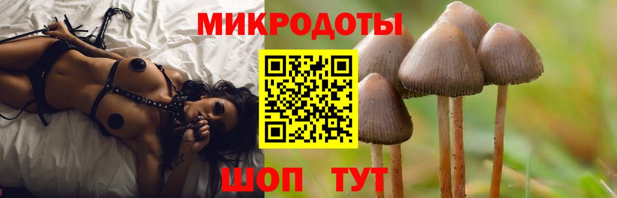 Галлюциногенные грибы Psilocybe  Вход с VPN  Реж 